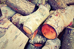 Throop wood burning boiler costs